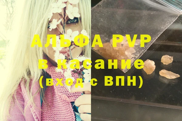 молекула духа Арсеньев