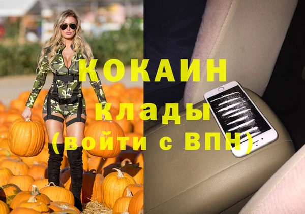 молекула духа Арсеньев