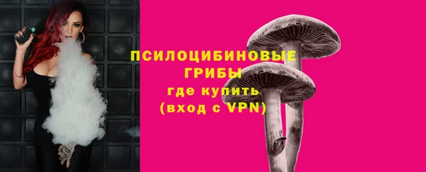 молекула духа Арсеньев