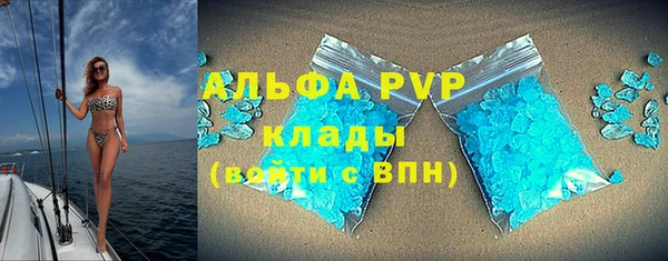 молекула духа Арсеньев
