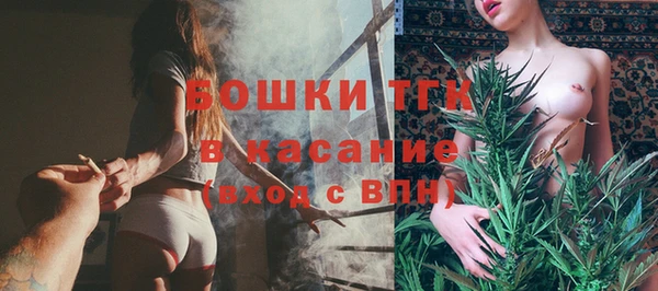 молекула духа Арсеньев