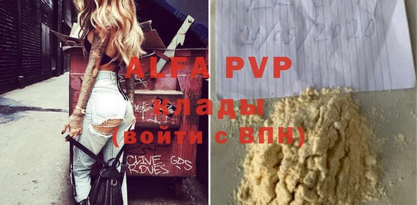 молекула духа Арсеньев