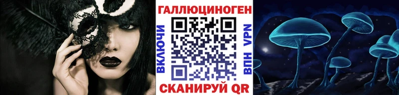 Галлюциногенные грибы Psilocybe  Купить где  Бирск 
